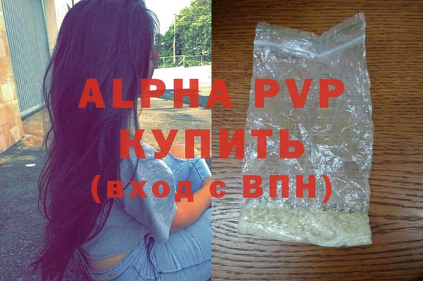 PSILOCYBIN Белокуриха
