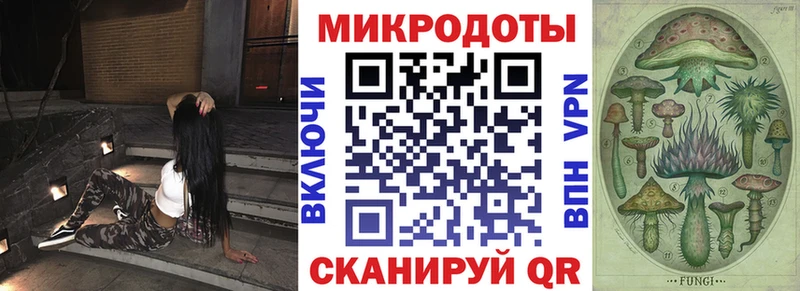 где купить наркоту  Сокол  KRAKEN онион  Псилоцибиновые грибы ЛСД 