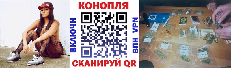 Марихуана семена  Сокол 